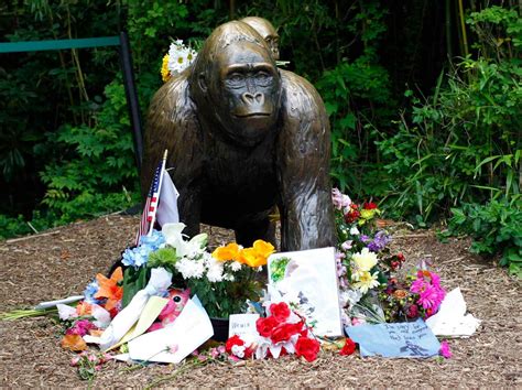 when did harambe die date